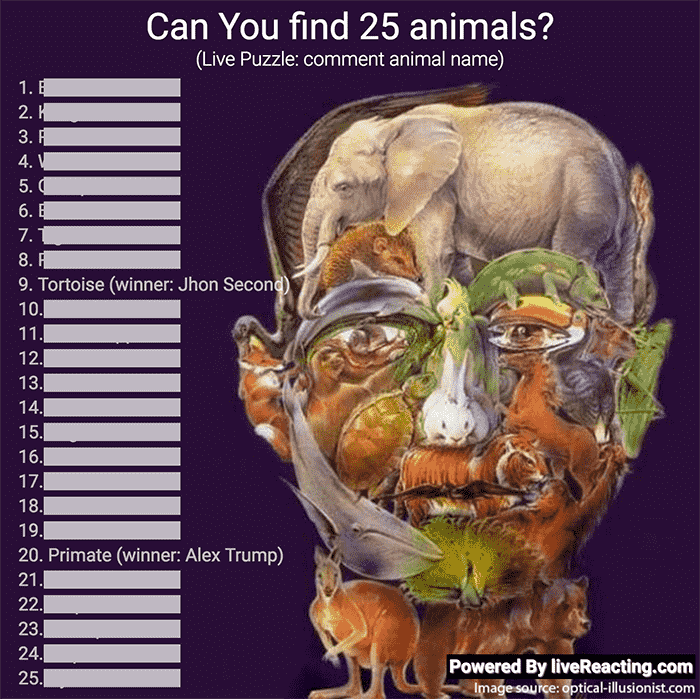 Facebook live interactive game
