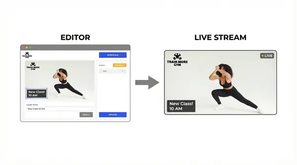 Live video 24/7 stream on-fly updates 